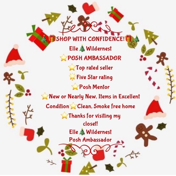 LAND’S END BLUE PLAID DOWN PUFFER VEST NWT ✨L 🎄🎁🏂 - Picture 7 of 9